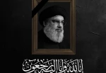 شهادت 2